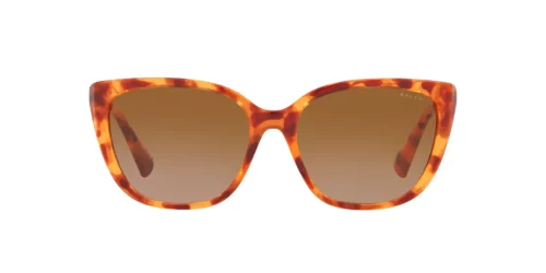 591113 - Shiny Sponged Havana Honey frame / Gradient Brown lenses