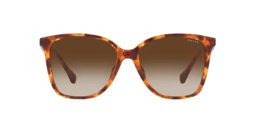 588513 - Oprawka Shiny Havana / Soczewki Gradient Brown