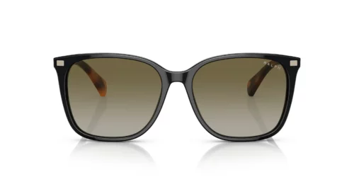 60378E - Montura negra brillante / Lentes verdes degradadas