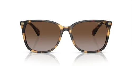 6148T5 - Montura amarillo habana brillante / Lentes polarizadas degradadas marrones