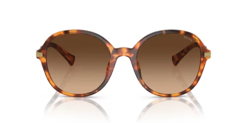 588574 - Shiny Sponged Havana frame / Gradient Brown lenses