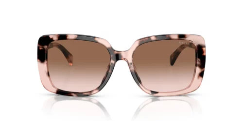 605813 - Shiny Pink Havana frame / Gradient Brown lenses