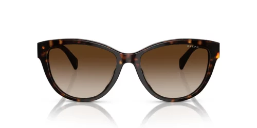 500313 - Shiny Dark Havana frame / Gradient Brown lenses