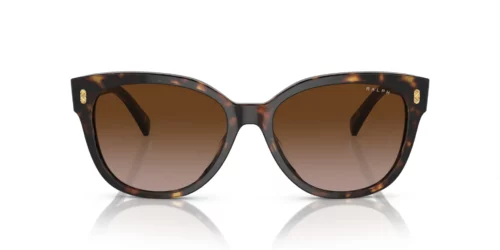 500313 - Oprawka w kolorze Black Havana / Soczewki w kolorze Gradient Brown