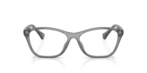 5799 - Armação cinza transparente brilhante / Lentes transparentes