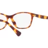 Ralph RA-7144U Shiny Havana