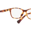 Ralph RA-7144U Shiny Havana