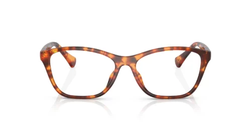 5885 - Armação Havana brilhante / Lentes transparentes