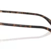 Ralph RA-7146 Shiny Havana