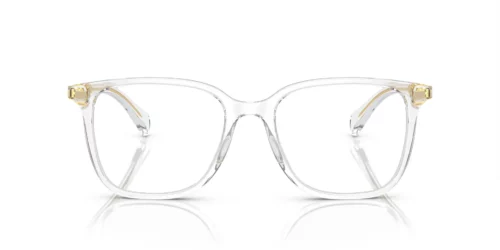 5002 - Shiny Transparent Crystal frame / Clear lenses