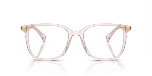 6043 - Shiny Transparent Rose frame / Clear lenses