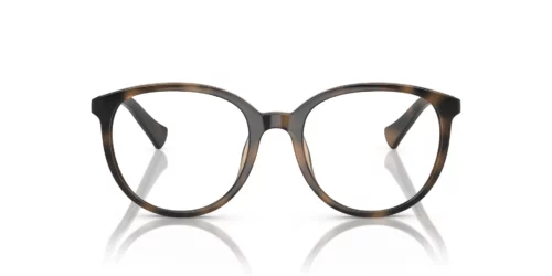 6070 - Oprawka Shiny Havana / Soczewki przezroczyste