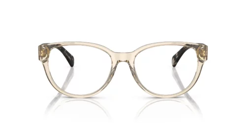 6062 - Shiny Transparent Light Brown frame / Clear lenses