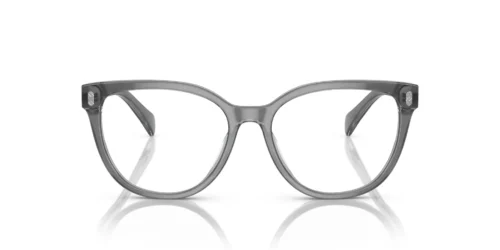 6069 - Transparent Grey On Milky Grey frame / Clear lenses