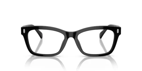 5001 - Shiny Black frame / Clear lenses