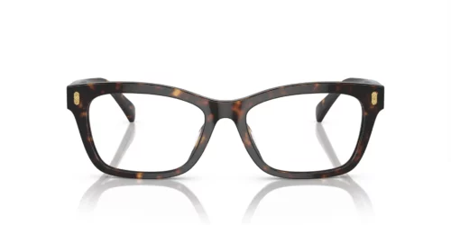 5003 - Shiny Dark Havana frame / Clear lenses