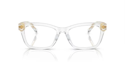 5331 - Shiny Crystal frame / Clear lenses
