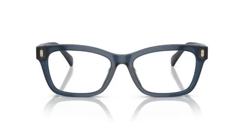 6144 - Shiny Transparent Blue frame / Clear lenses