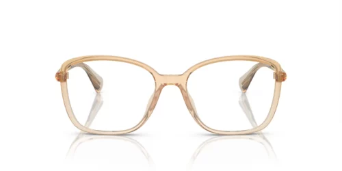 6128 - Armação marrom transparente brilhante / Lentes transparentes
