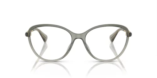 6127 - Armação cinza transparente brilhante / Lentes transparentes