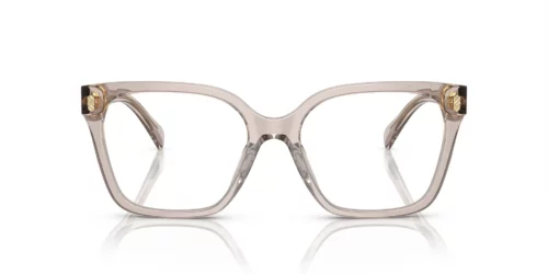 6117 - Armação bege transparente brilhante / Lentes transparentes