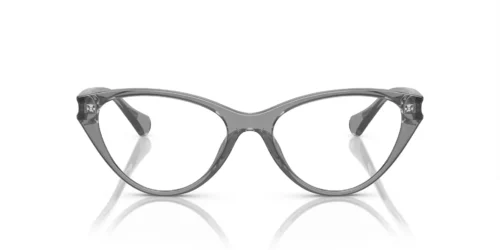 5799 - Armação cinza transparente / Lentes transparentes