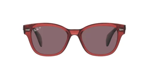 6639AF - Transparent Pink frame / Dark Violet lenses