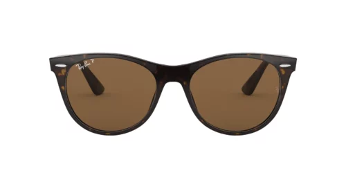 902/57 - Tortoise frame / B-15 Brown lenses