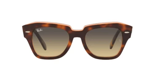 1324BG - Havana On Transparent Pink frame / Brown/Blue Gradient lenses