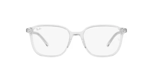 Ray-Ban Leonard RB2193 Clear/Grey