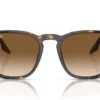Ray-Ban  RB2203 Light Brown