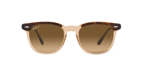 1292M2 - Havana On Transparent Brun båge / Bruna Gradient Polar-linser
