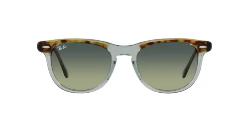 1376BH - Havana On Transparent Green båge / Gröna Vintage-linser