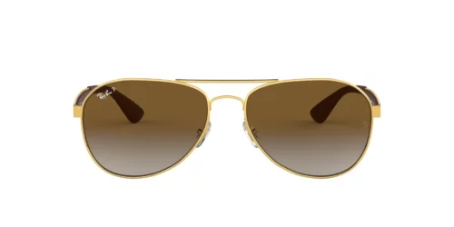 001/T5 - Arista Gold frame / Brown lenses