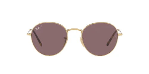001/AF - Arista frame / Dark Violet Polar lenses