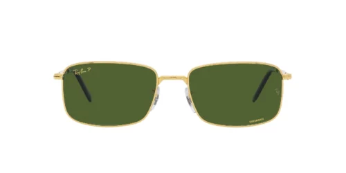 9196P1 - Gold frame / DARK GREEN lenses