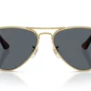 Ray-Ban Aviator Max RB3925 Blue
