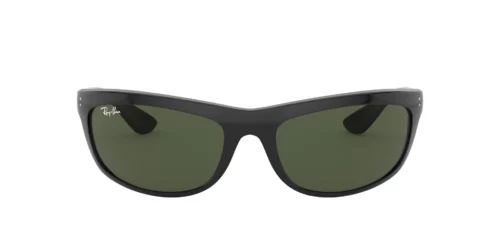 601/31 - Black frame / G-15 Green lenses