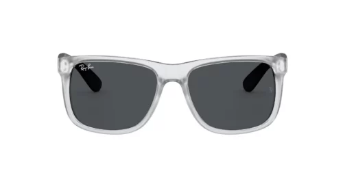 651287 - Transparent frame / Grey lenses