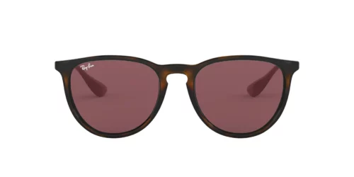 639175 - Havana frame / Dark Violet lenses