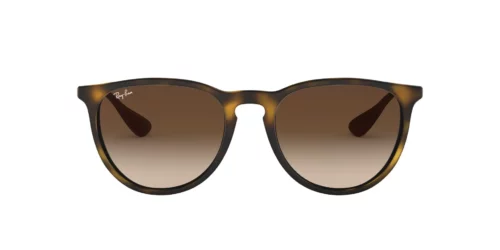 Ray-Ban Erika RB4171 Hnědá