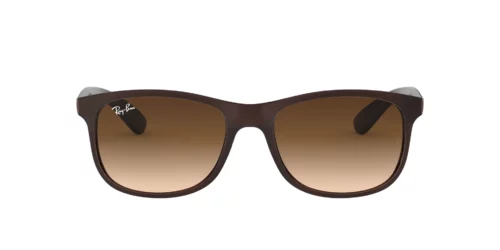 607313 - Brown frame / Brown Gradient lenses
