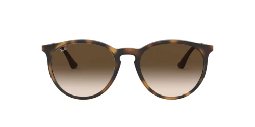 856/13 - Rubber Light Havana frame / Brown Gradient Dark Brown lenses