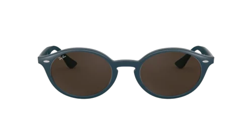 638073 - Blue frame / Dark Brown lenses