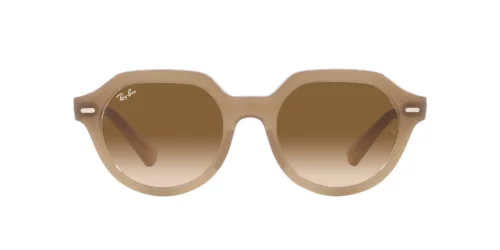 616651 - Turtledove frame / Brown lenses