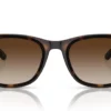 Ray-Ban  RB4420 Brown