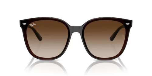 714/13 - Montura marrón transparente / Lentes marrones