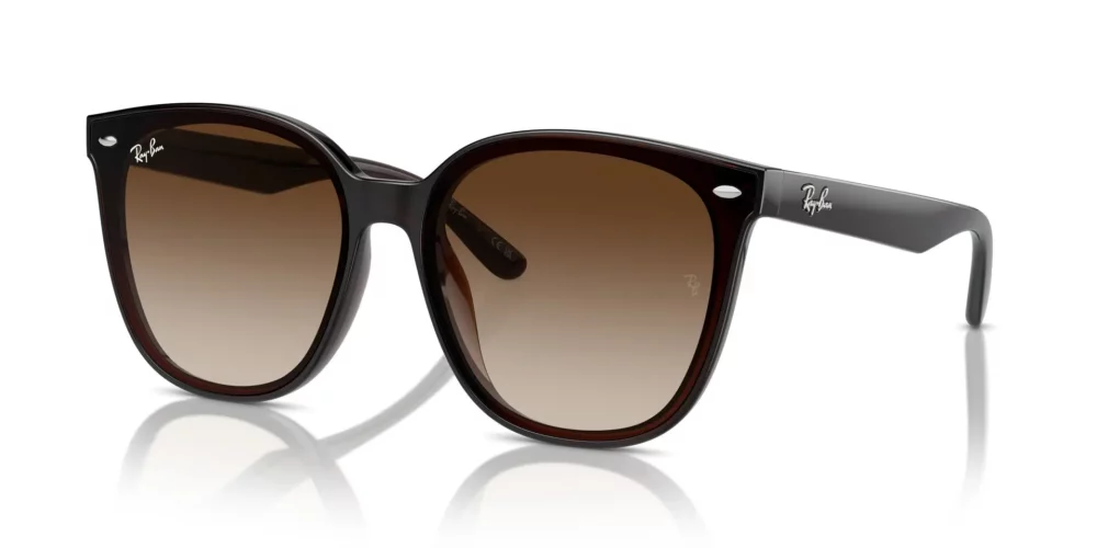 Ray-Ban RB4423D Ruskea