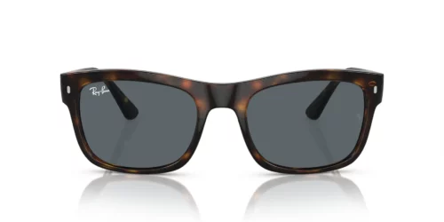 710/R5 - Havana frame / Blue lenses