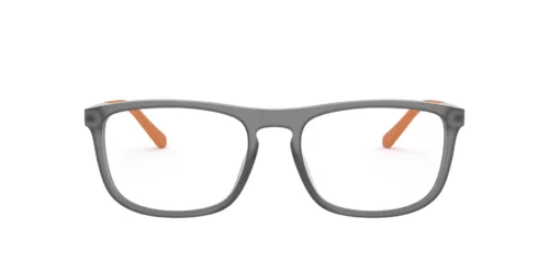 Ralph Lauren RL-6197 Matte Transparent Grey